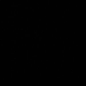 Meet your Posher, Jamari